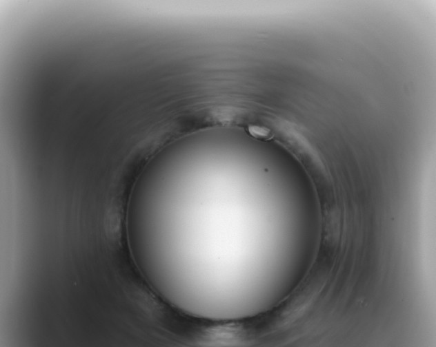 X0000089860505200707051136