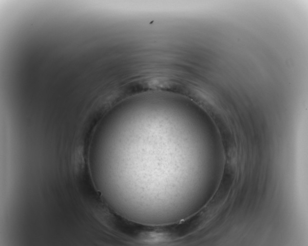 X0000089860506200707051136