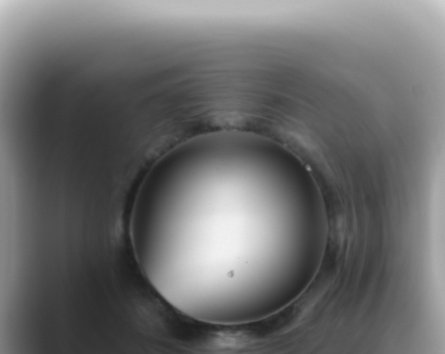 X0000089860508200707051136
