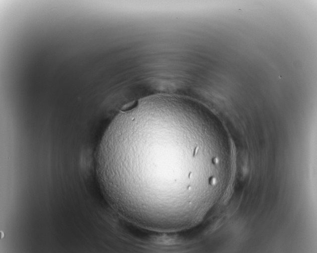 X0000089860511200707051136