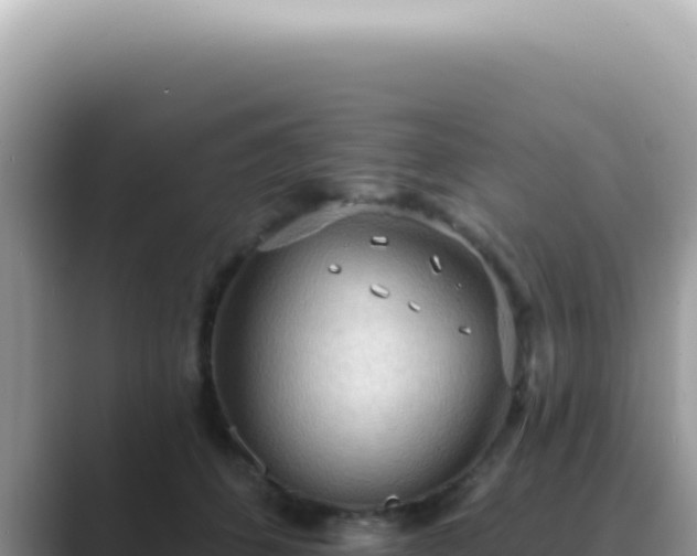 X0000089860512200707051136