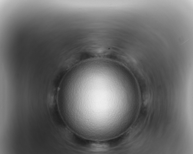 X0000089860515200707051136
