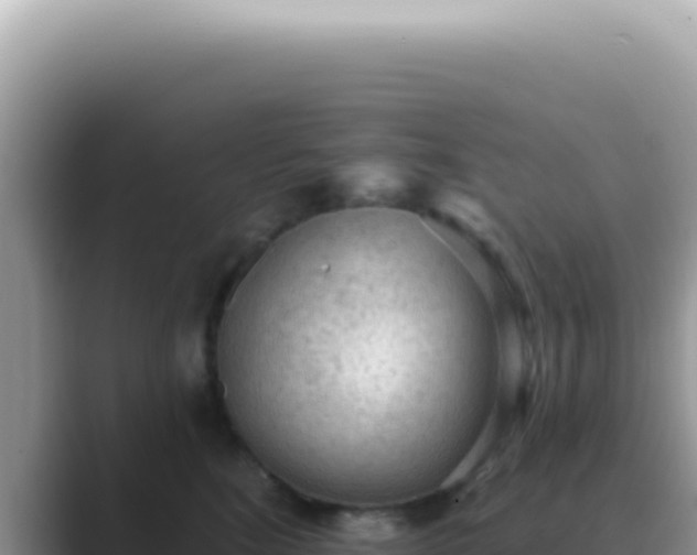 X0000089860520200707051135