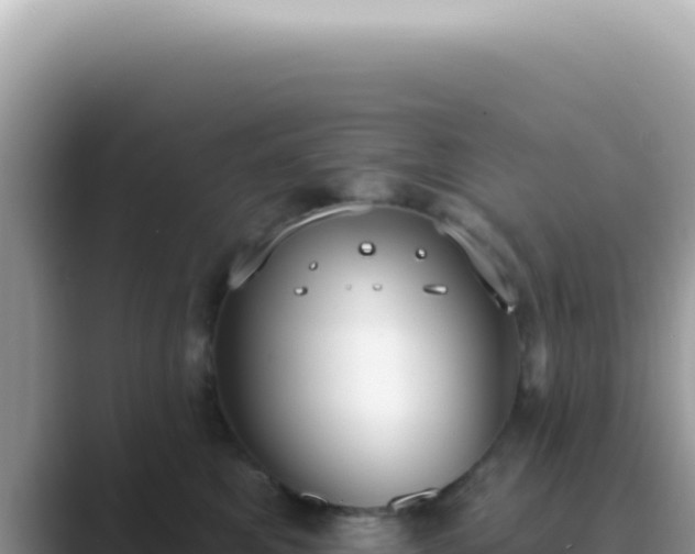X0000089860521200707051135