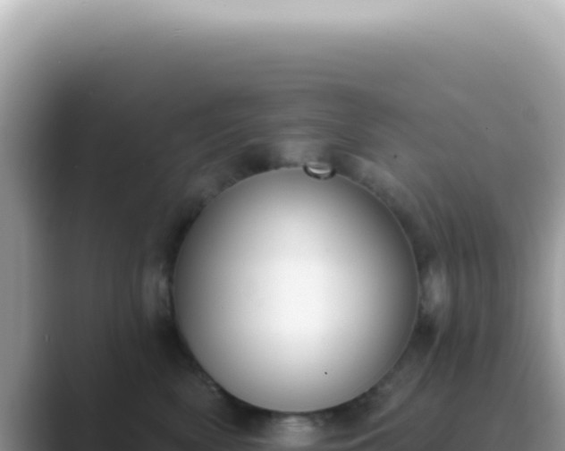 X0000089860522200707051135