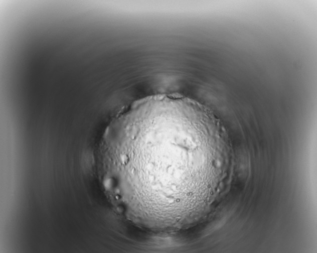 X0000089860523200707051135