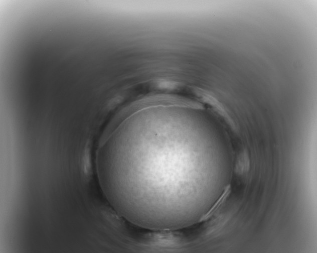 X0000089860524200707051135
