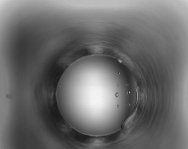 X0000089860525200707051135