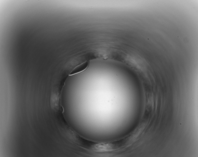 X0000089860526200707051135