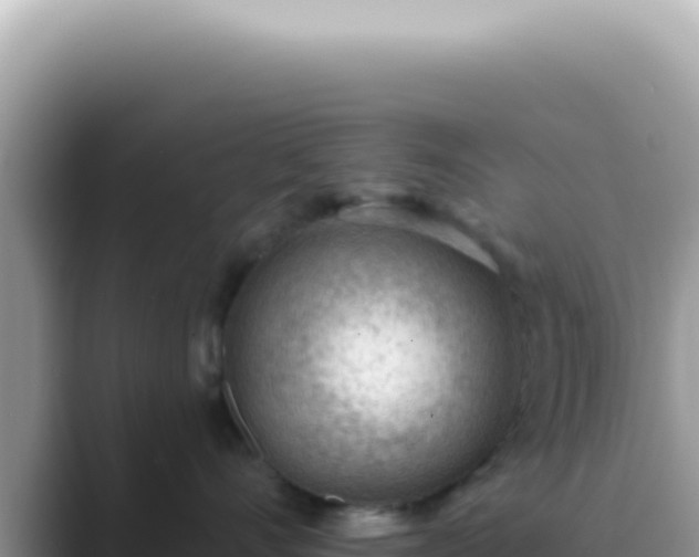 X0000089860528200707051135