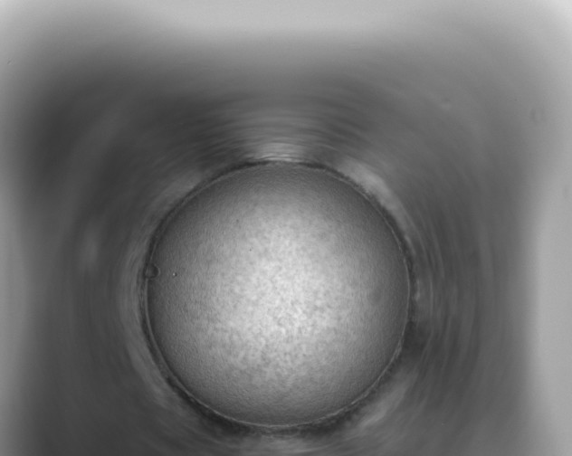 X0000089860529200707051135