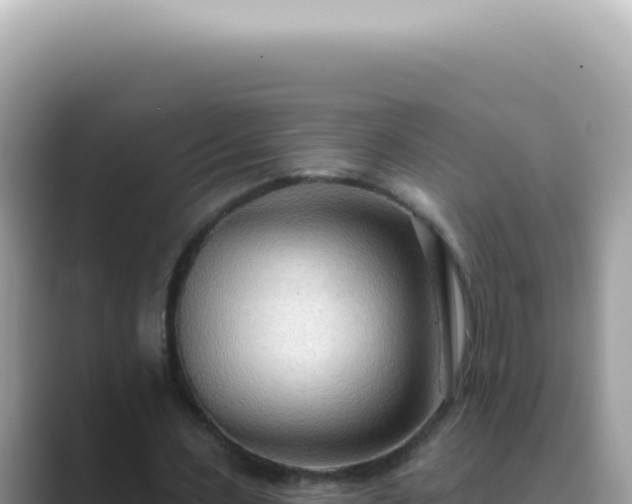 X0000089860531200707051135