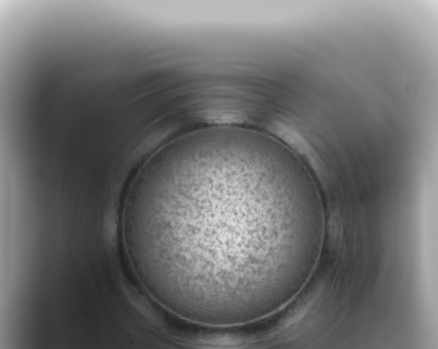 X0000089860533200707051135