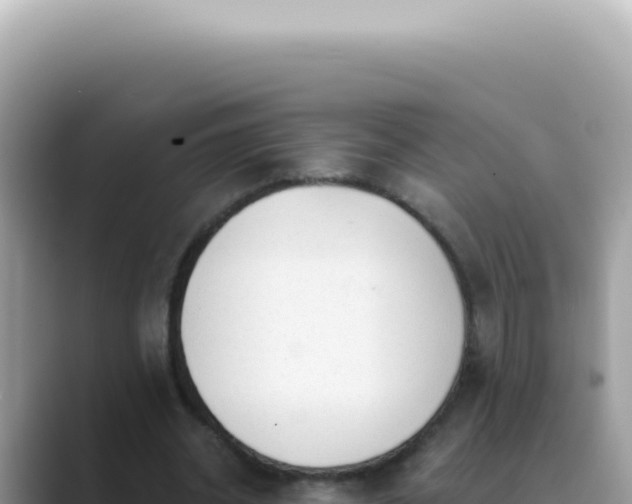 X0000089860534200707051135