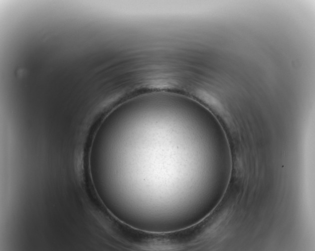 X0000089860535200707051135