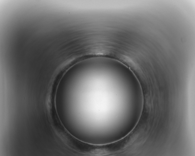 X0000089860536200707051135