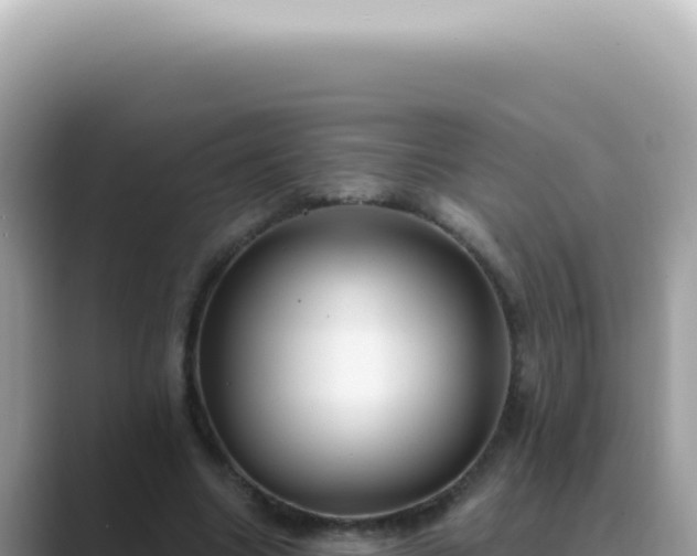 X0000089860538200707051135