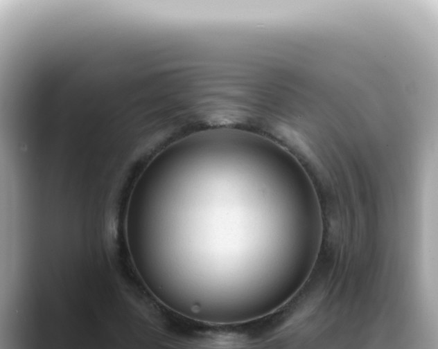 X0000089860539200707051135