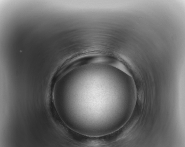 X0000089860540200707051135