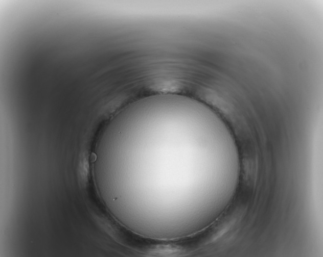 X0000089860541200707051135