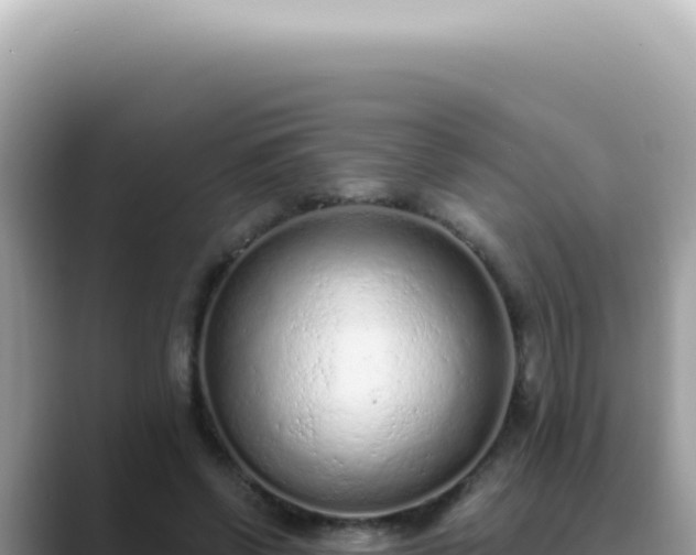 X0000089860542200707051135