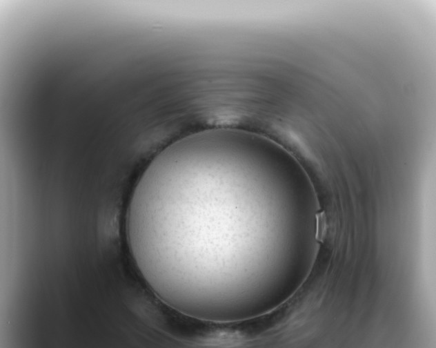 X0000089860543200707051135