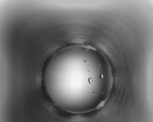 X0000089860544200707051135