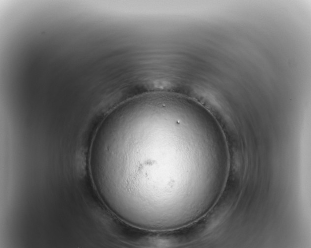 X0000089860545200707051135
