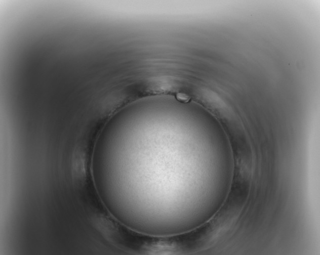 X0000089860546200707051135