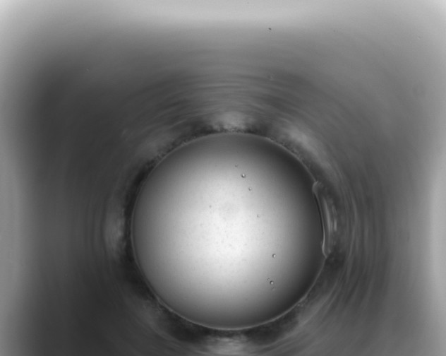 X0000089860548200707051135