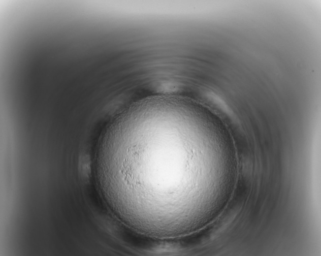 X0000089860549200707051135