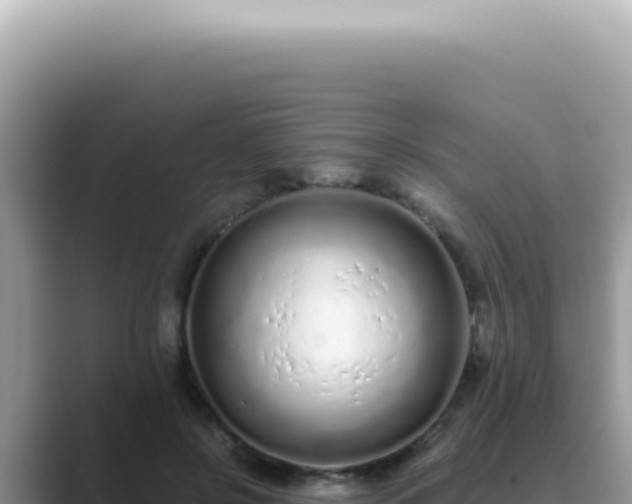 X0000089860550200707051135
