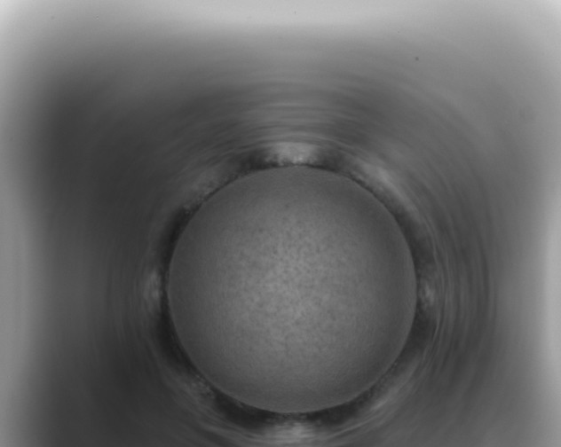 X0000089860551200707051135