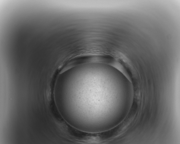 X0000089860552200707051135