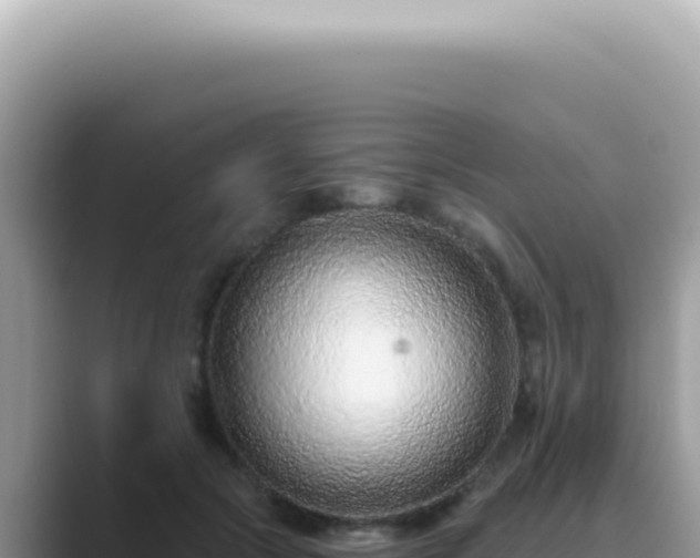 X0000089860553200707051135