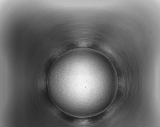 X0000089860554200707051135