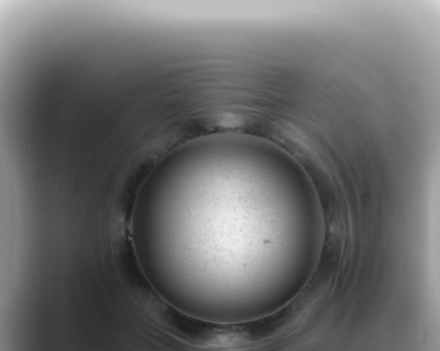 X0000089860555200707051135