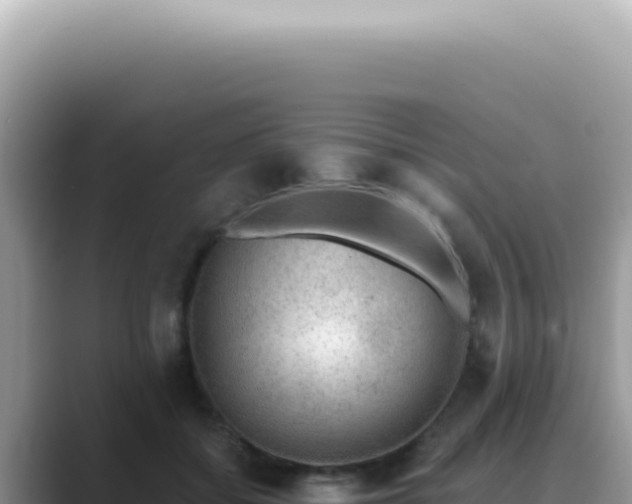 X0000089860556200707051135