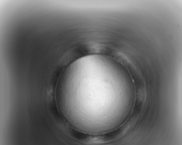X0000089860557200707051135
