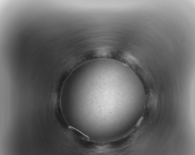 X0000089860560200707051135