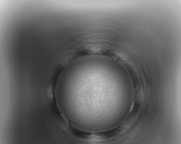 X0000089860562200707051135