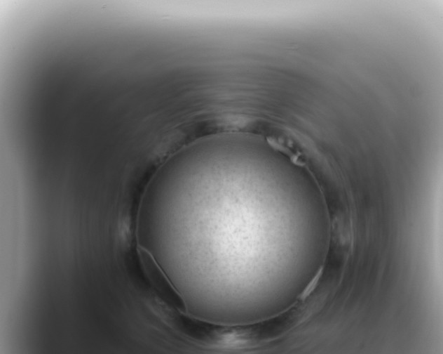 X0000089860564200707051135