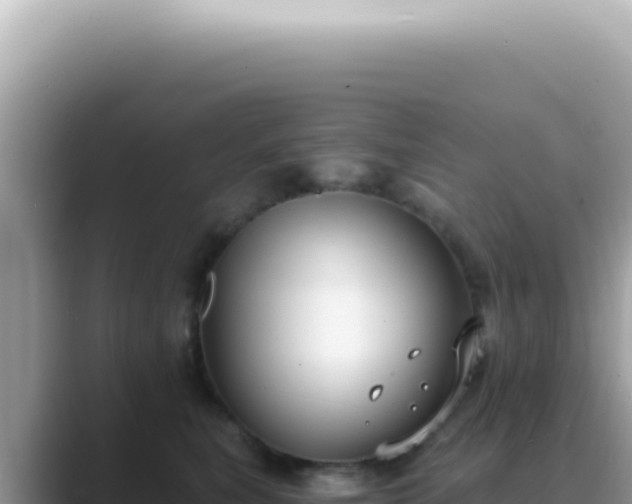 X0000089860567200707051135
