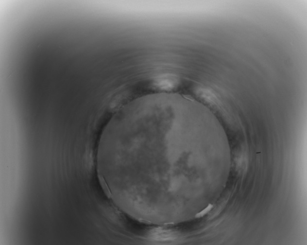 X0000089860568200707051135