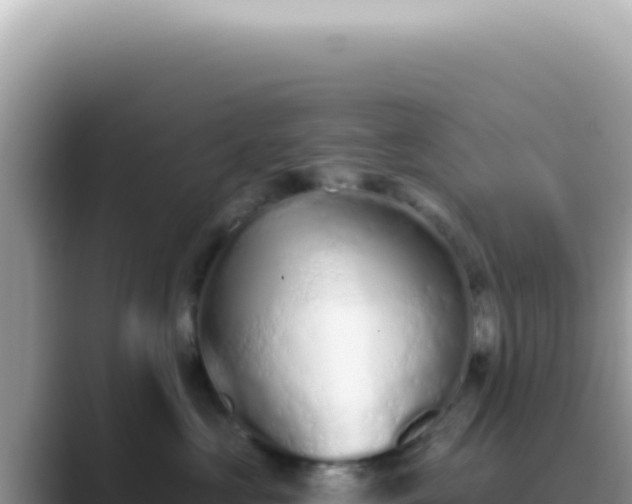 X0000089860573200707051135