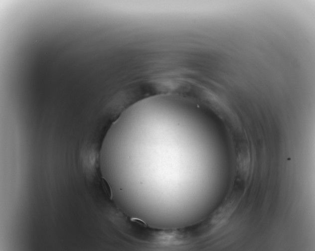 X0000089860574200707051135
