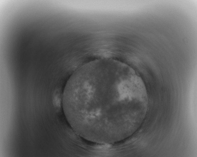 X0000089860576200707051135