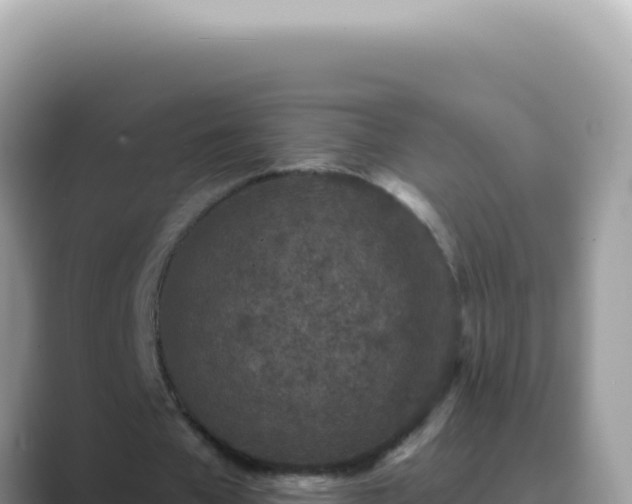 X0000089860577200707051135