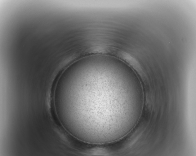 X0000089860578200707051135