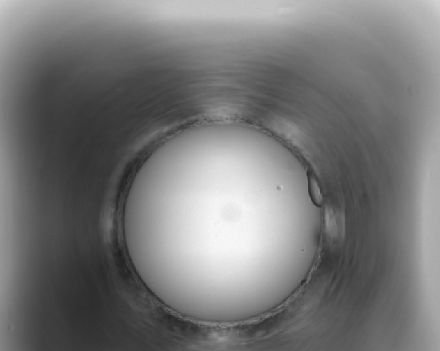 X0000089860579200707051135
